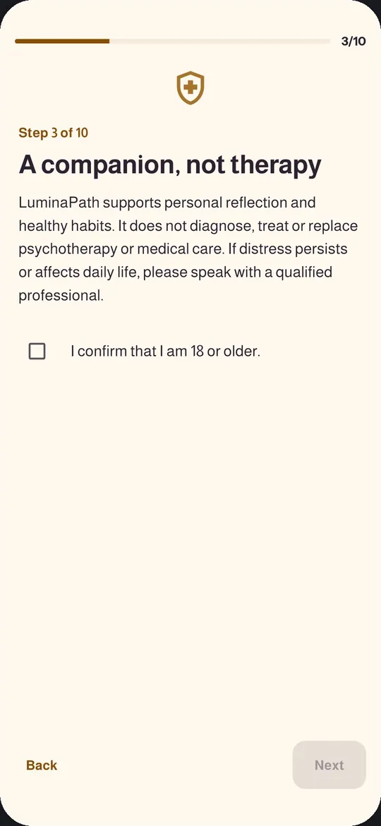 A companion, not therapy: shown before anyone begins