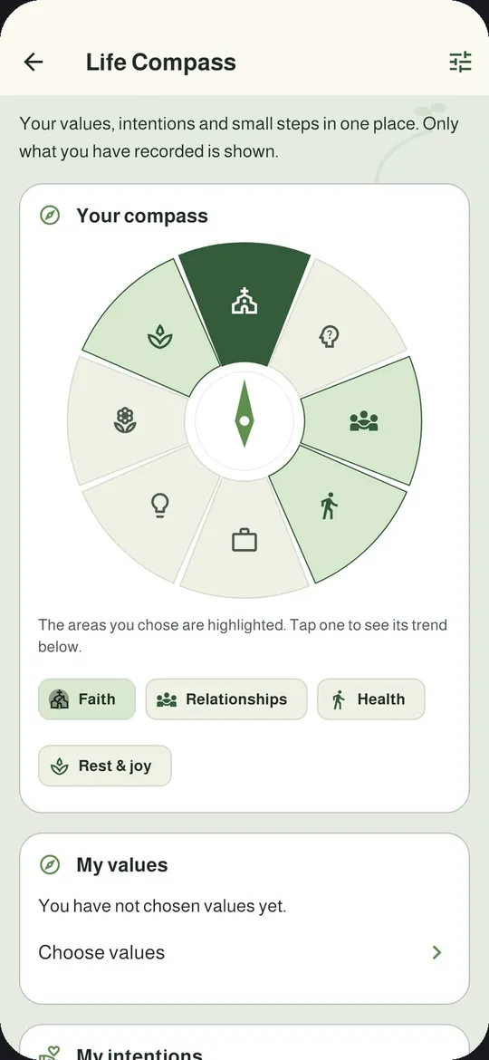 Life Compass with the areas you chose