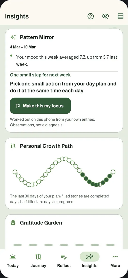 Insights with the Pattern Mirror and growth path